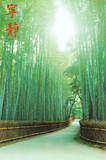Pathways Prints