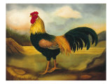 Old English Game Cock Giclee Print by Porter Design 