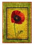 Poppy Giclee Print by Doug Landreth