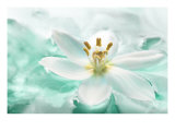 Botanica Azure II Lámina giclée por Jeanne Michel Botanica Azure II Lámina giclée por Jeanne Michel