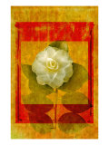 Camellia Giclee Print by Doug Landreth