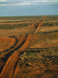 Part of a 3307 Mile Long Wire Fence to Keep Dingoes Away from Sheep Photographic Print by Medford Taylor