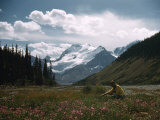 Woman Picks Fireweed Flowers in a Valley Below Mount Athabasca Photographie par Walter Meayers Edwards