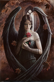 Angel Rose Photo by Anne Stokes