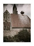 Storks Nest on Rooftop Next to Cathedral in Ribe Photographic Print by Gustav Heurlin