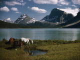 Horses Graze in a Lakeside Meadow in the Canadian Rockies Photographie par Walter Meayers Edwards