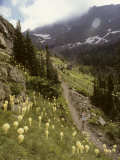 Woman Hiker on a Trail Photographie par Skip Brown
