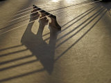 Bridge and Strings Cast Shadows across the Head of a Banjo Photographic Print by White & Petteway 