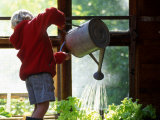 Boy Watering Plants in a Green House Photographic Print by Kate Thompson