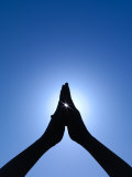 Silhouette of a Woman Practicing Yoga in a Tropical Setting Photographic Print by Eightfish 
