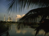 Large Mosque Reflected in Water, Framed with Palm Fronds Photographie par Paul Chesley