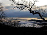 Tree Branch Silhouetted Against the Clouds and Mountains Below Photographic Print by White & Petteway 