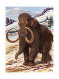 Woolly Mammoth Is a Close Relative to the Modern Elephant Photographic Print by Charles Knight