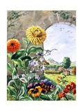 Pot Marigolds, Bellflowers, Daisies, Pansies, Cowslip, Polyanthas Giclee Print by Else Bostelmann