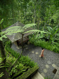 Young Woman Walks Along a Stone Path in a Lush Tropical Resort Photographic Print by Eightfish