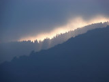 Warm Glow of a Misty Sunset Highlights Trees on a Mountain Ridge Photographic Print by White & Petteway 