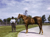 Champion Horse Man-O-War Poses with One of His Grooms Photographie par B. Anthony Stewart