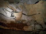 Paleolithic Art of Bulls on Calcite Walls of Lascaux Cave Photographic Print by Keenpress 