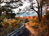 Fence-Lined Path Leads to a Mountain Meadow Rich with Autumn Color Photographic Print by White & Petteway 