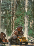 Men Drive Trucks Loaded with Massive Tree Trunks Lámina fotográfica por Thorton Oakley Men Drive Trucks Loaded with Massive Tree Trunks Lámina fotográfica por Thorton Oakley
