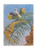 Archaeopteryx and Pterosaurs Were Some of the First Flying Lifeforms Photographic Print by Charles Knight