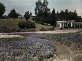 View of Cypress Lawn's Landscaped Grounds Photographie par Charles Martin