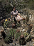 Woman Sits in a Patch of Turk's-Cap Cacti Photographic Print by Edwin L. Wisherd