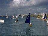 San Juan's Winter Regatta Brings Comet Class Yachts to the Harbor Photographie par Edwin L. Wisherd