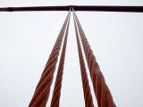 Close View of the Golden Gate Bridge Cables Photographic Print by Stacy Gold