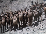 Shuhin Used Inflated Goatskins to Ferry Expedition across Yangtze Photographic Print by Dr. Joseph F. Rock