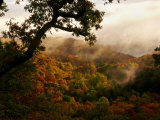 Mist Enshrouds Mountains Below Which are Rich with Autumn Color Photographic Print by White & Petteway 