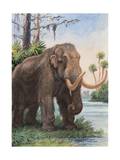 When the Age of Man Began, the Mastodon Still Inhabited North America Photographic Print by Charles Knight