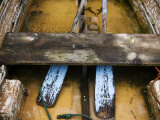 Close-up of Oars in a Flooded Rowboat Photographic Print by Todd Gipstein