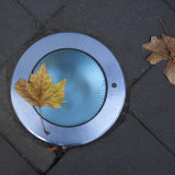 Still Life Overhead View of Leaf and Blue Street Light Photographic Print by Keenpress 