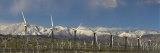Panorama of Windmills at San Gorgonia Pass in Palms Springs Photographic Print by Greg Dale