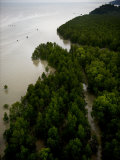 Fishing Boats at the Mouth of the Bako River Photographic Print by Mattias Klum