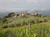Wine Fields and Olive Groves in Foreground Photographie par Keenpress 