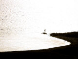 Silhouetted Person on a Point of Land Jutting Out into Calm Water Fotografisk tryk af Mattias Klum Silhouetted Person on a Point of Land Jutting Out into Calm Water Fotografisk tryk af Mattias Klum