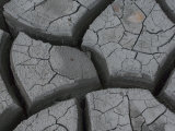 Silt Washed Down from Flash Floods Dries Photographic Print by Michael S. Quinton