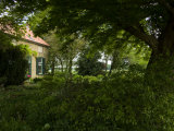 Lush Vegetation around a Cottage Home Photographic Print by Mattias Klum