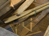 Close-up of Oars and Reflections in a Flooded Rowboat Photographic Print by Todd Gipstein