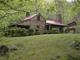 Horse Grazing in the Yard of a Mountain Log Cabin Photographic Print by Greg Dale