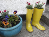 Ceramic Yellow Boots Function as Planter, Inner Hebrides Photographic Print by Keenpress 