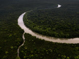 Meandering River and Riverine Forest Area North of Kuching Photographic Print by Mattias Klum