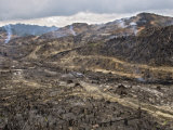 Logging and Slash-And-Burn Agriculture Level Borneo's Rainforest Photographic Print by Mattias Klum