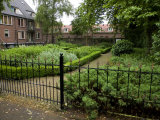 Courtyard Gardens Behind a Wrought Iron Fence Photographic Print by Mattias Klum
