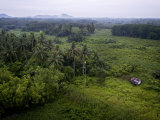 Hut in Secondary Rain Forest Growth North of Kuching Photographic Print by Mattias Klum