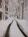 Tire Tracks Down a Mountain Road after a Snowfall Photographic Print by Greg Dale