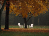 Three Welcoming Rocking Chairs under an Autumn-Hued Maple Tree Photographie par Paul Chesley