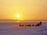 Mushing across the Frozen Arctic Ocean under the Midnight Sunset Photographie par Gordon Wiltsie